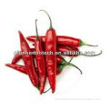 pure Capsaicin in bulk stock, worldwide fast delivery